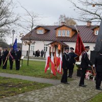 Zobacz w powiększeniu: 11 listopada 2023 (23)